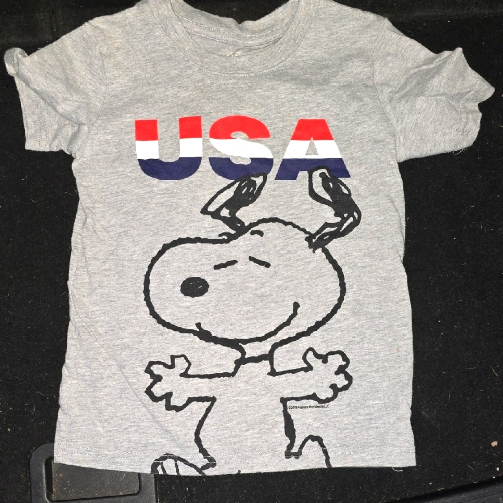 Family Fun Boys Gray Snoopy USA T-Shirt Size 6